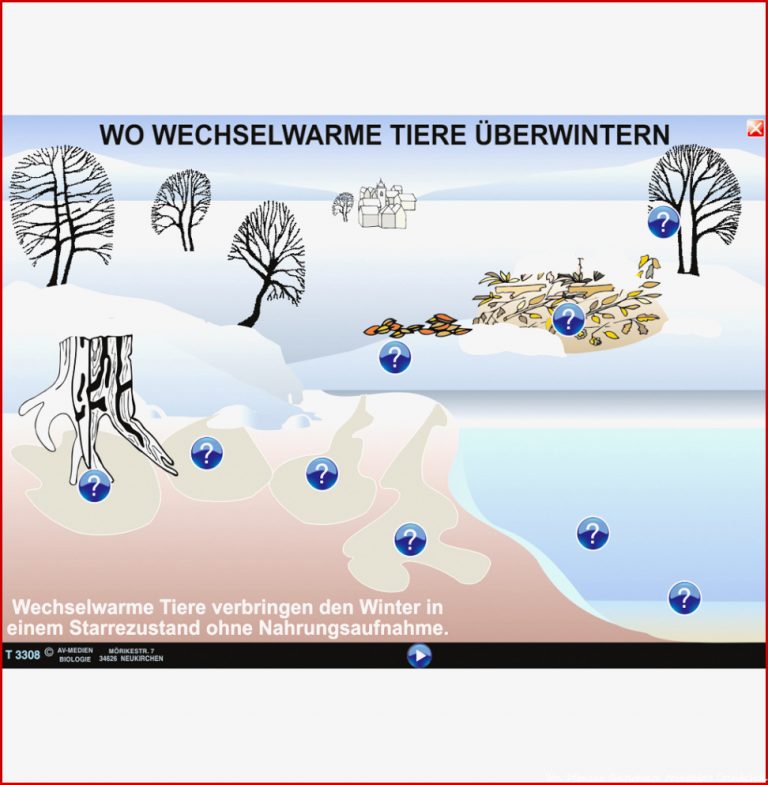 Tiere überwintern Ratespiel Puzzle und Rätsel ST 3069