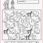 Tiere Zählen Mathematik Pinterest