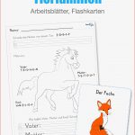 Tierfamilien Arbeitsblätter Flashkarten Homeschooling