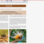 Transgene Tiere & Pflanzen â¦ Buch S.91 - Biomilldachsbergs Webseite!