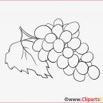 Trauben Zum Ausmalen Obst Cliparts