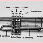 Trompete Aufbau Und Funktion › Musikmachen