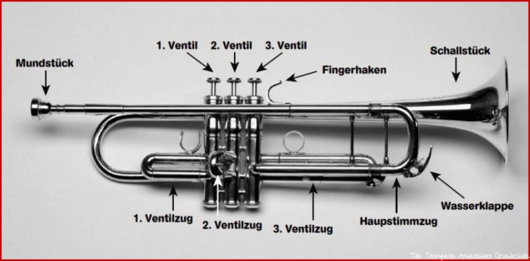 Trompete Aufbau Und Funktion › Musikmachen