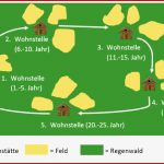 Tropischer Regenwald Arbeitsblatt Klett