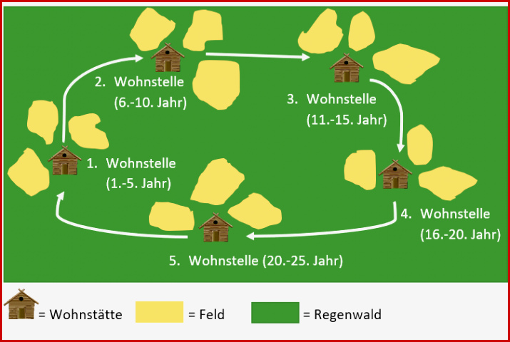 Tropischer Regenwald Arbeitsblatt Klett