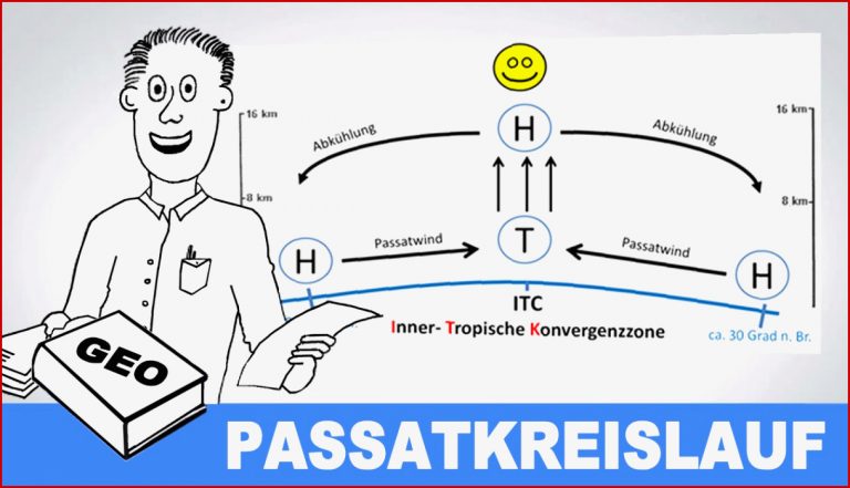 Tropischer Regenwald Klett Lösungen