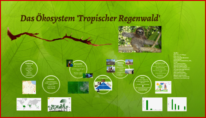 Tropischer Regenwald Klett