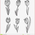 Tulipanes Decorativos