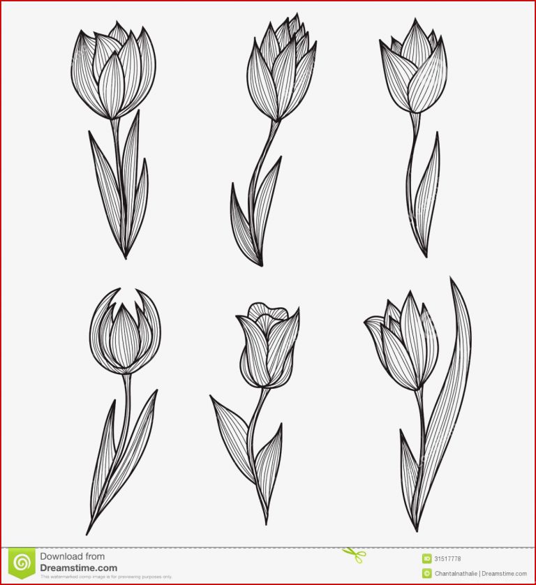 Tulipanes Decorativos