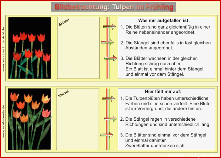 Tulpen im Frühling auf Tonpapier