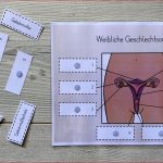 Ualerziehung Materialpaket – Unterrichtsmaterial In