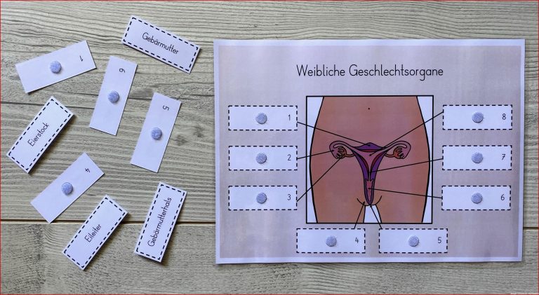 Ualerziehung Materialpaket – Unterrichtsmaterial In