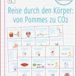 Ualkunde Arbeitsblätter Pdf Worksheets