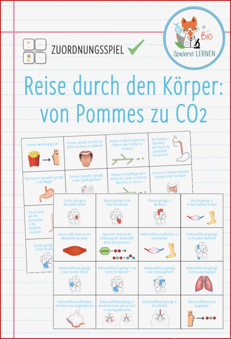 Ualkunde Arbeitsblätter Pdf Worksheets