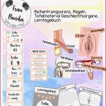 Ualkunde Klasse 6 Arbeitsblätter Worksheets