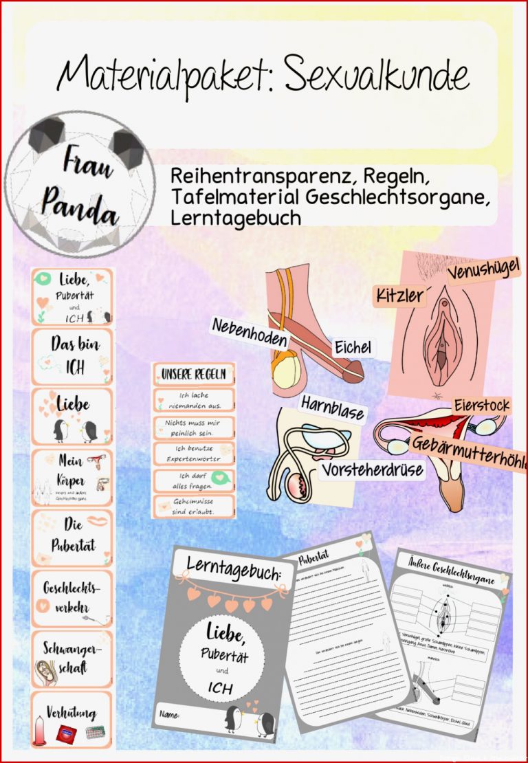 Ualkunde Klasse 6 Arbeitsblätter Worksheets