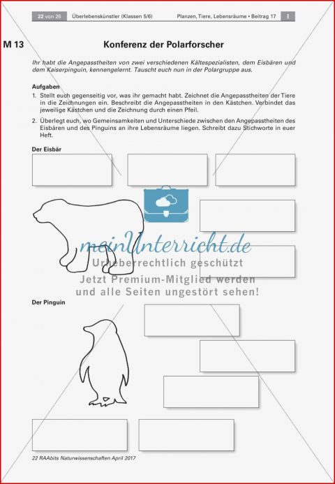 Überlebenskünstler In Extremräumen Angepasstheiten