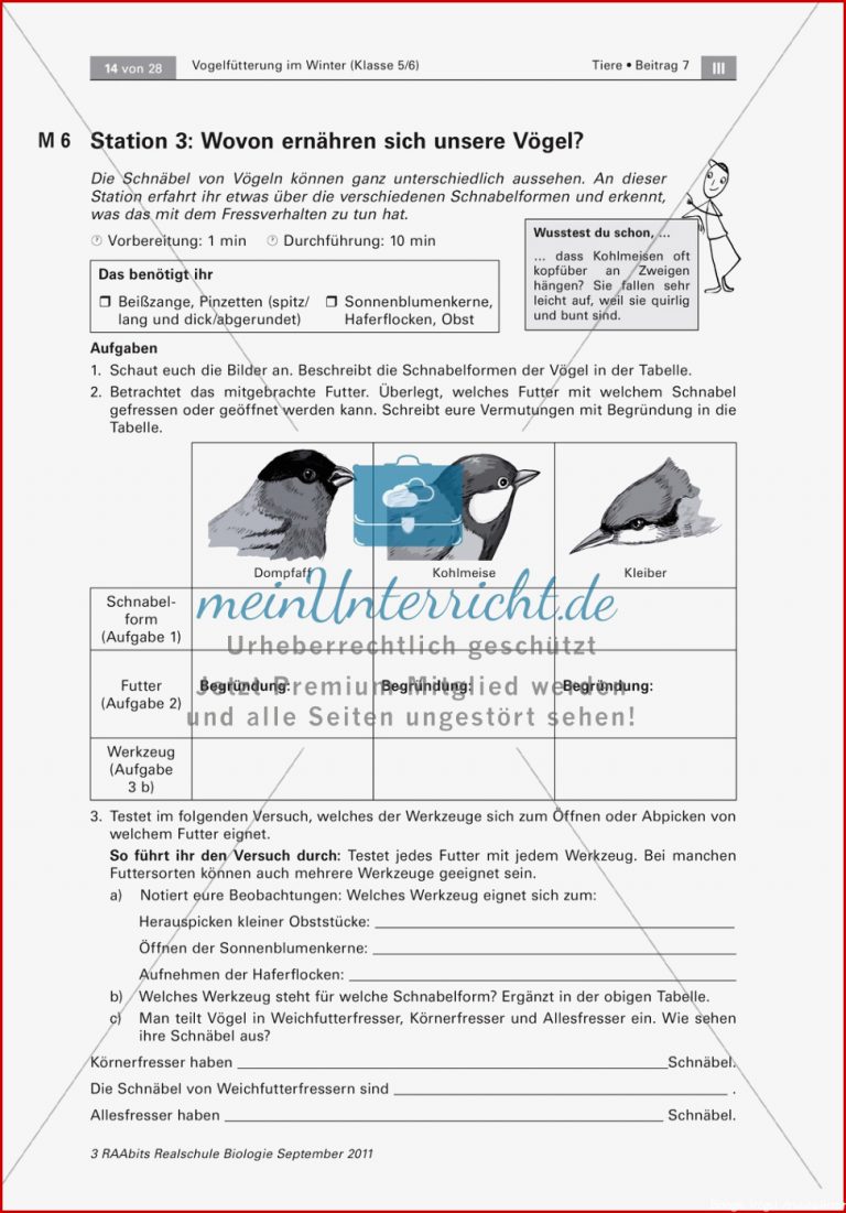 Überwinterung Und Fütterung Von Vögeln Stationsarbeit