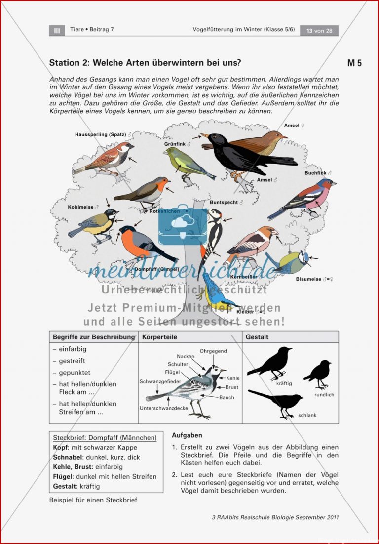 Überwinterung und Fütterung von Vögeln Stationsarbeit