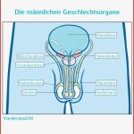 Übungsblätter