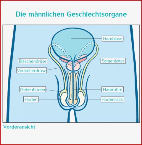 Übungsblätter