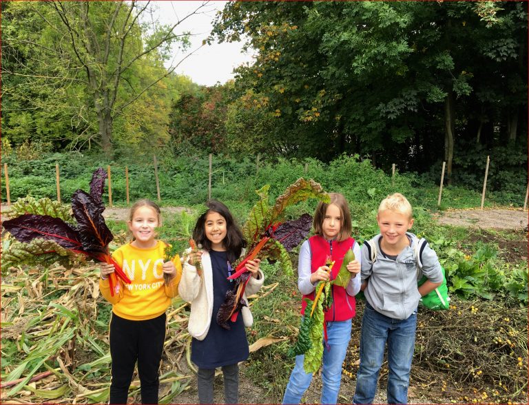 Unsere Garten AG grundschule bo4s Webseite