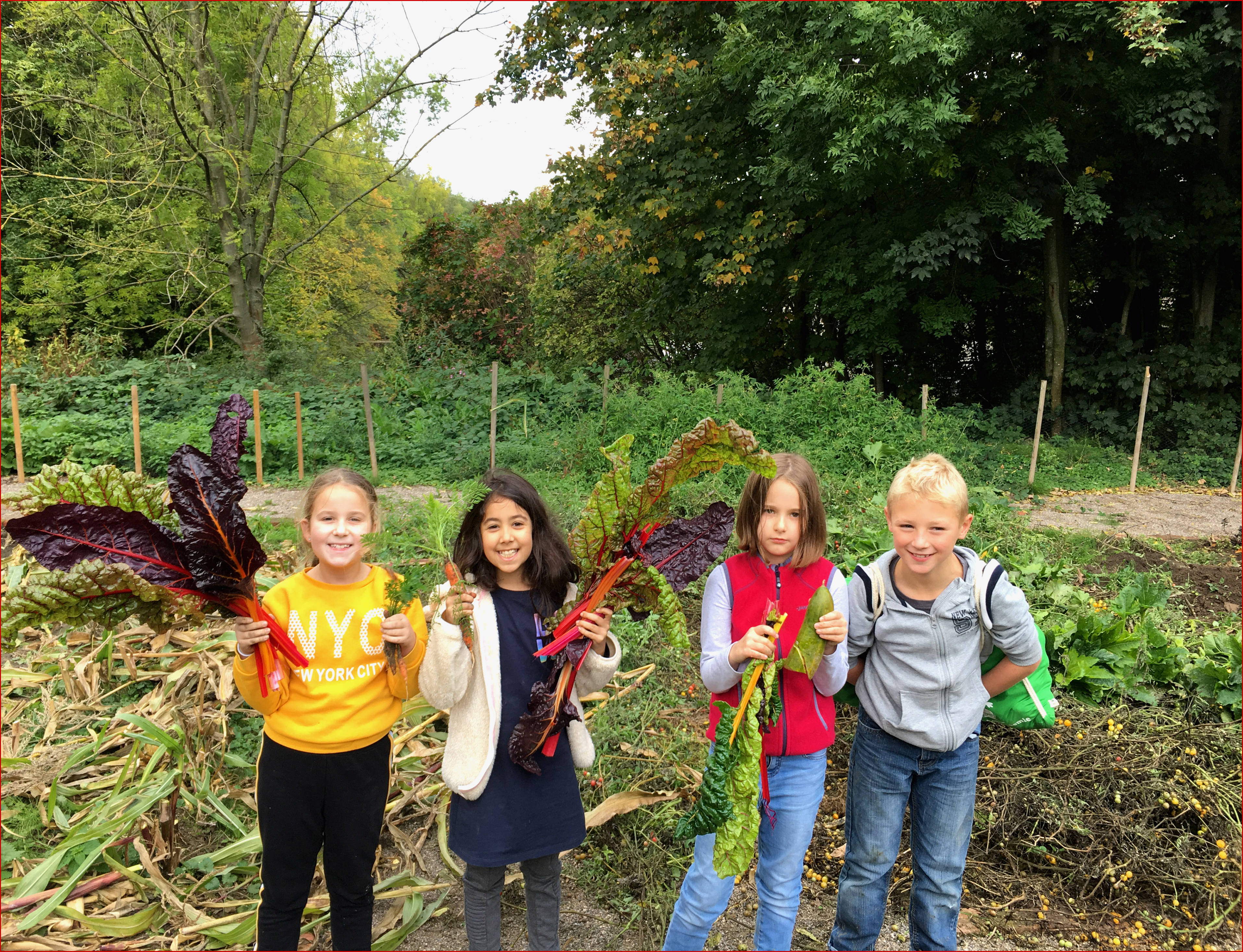 Unsere Garten Ag Grundschule Bo4s Webseite