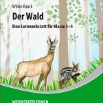 Unsere Lernwerkstatt „der Wald“ Informiert Deine Schüler