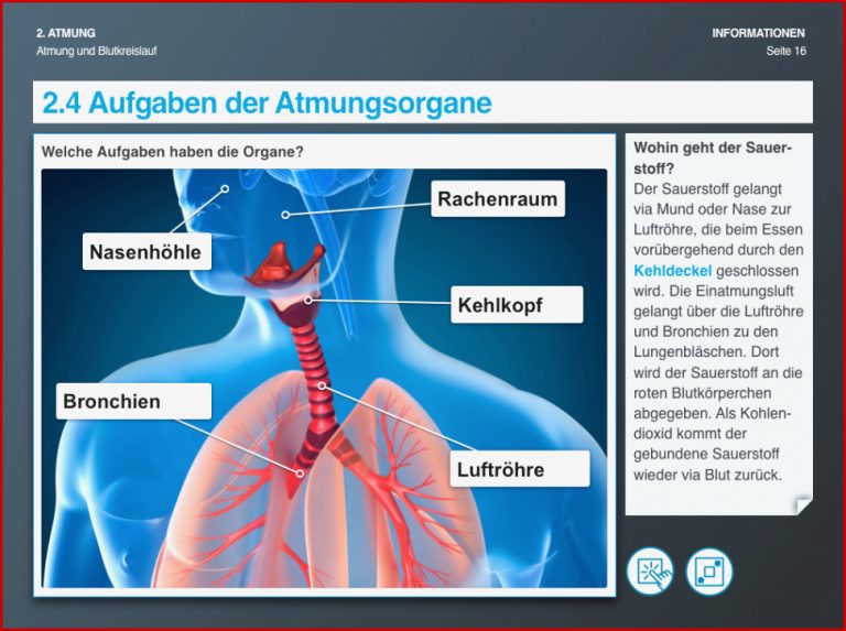 Unterricht