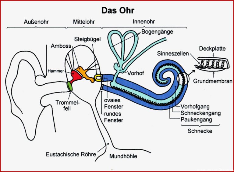 Unterricht DLRG Ortsgruppe Sehnde e V