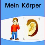 Unterrichtsmaterial Für Daf Daz Zum thema "mein Körper