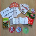 Unterrichtsmaterial Grundschule Pilze Grundschule