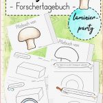 Unterrichtsmaterial Grundschule Pilze Grundschule