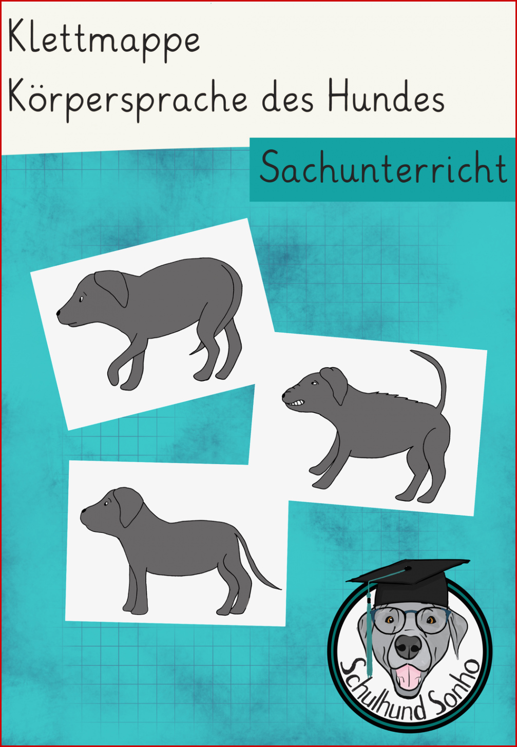 Unterrichtsmaterial Körpersprache Hund Arbeitsblatt