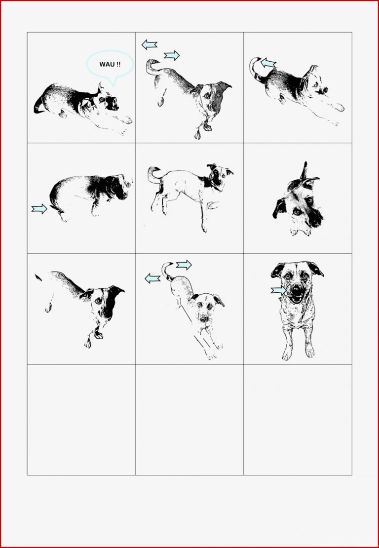 Unterrichtsmaterial Körpersprache Hund Arbeitsblatt