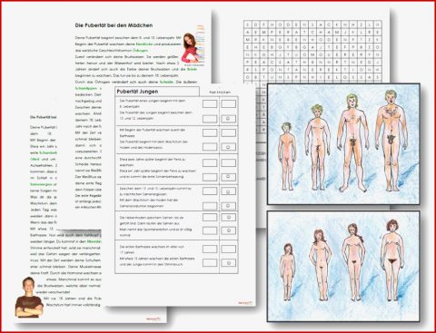 Unterrichtsmaterial Übungsblätter Für Grundschule