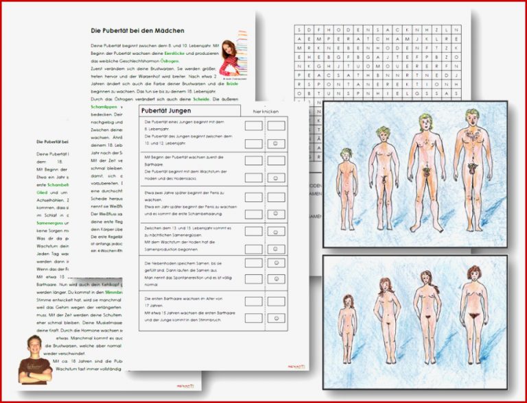 Unterrichtsmaterial Übungsblätter für Grundschule