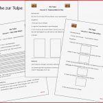 Unterrichtsmaterial Übungsblätter Für Grundschule