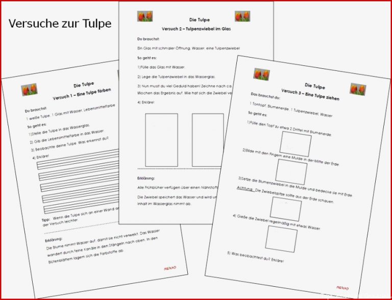 Unterrichtsmaterial Übungsblätter Für Grundschule