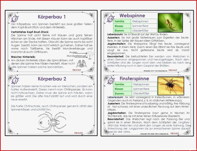 Unterrichtsmaterial Übungsblätter für Grundschule