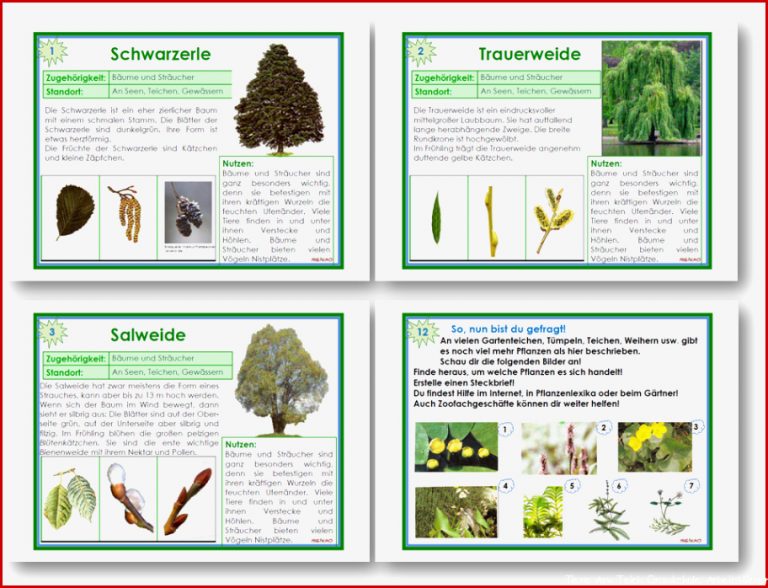 Unterrichtsmaterial Übungsblätter für Grundschule