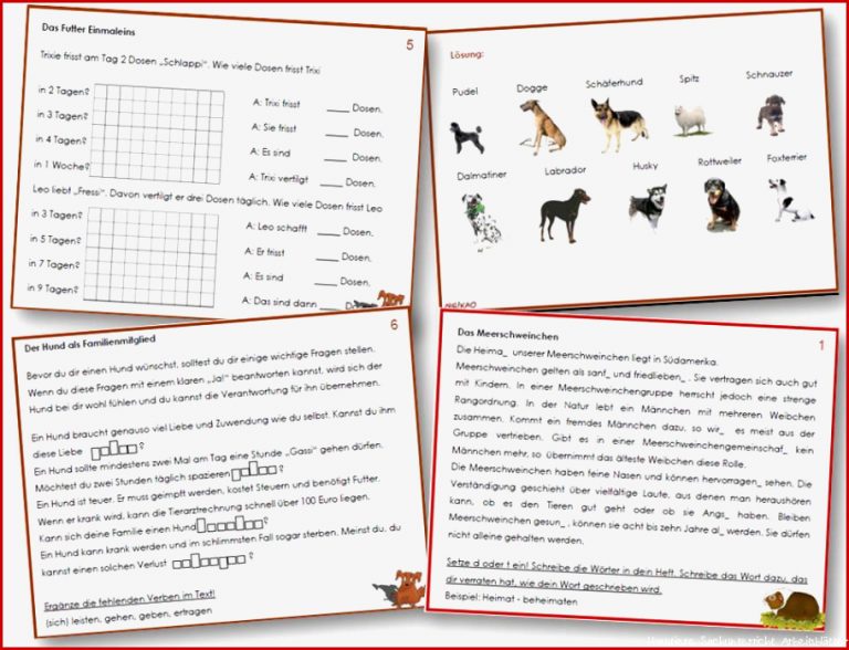 Unterrichtsmaterial Übungsblätter Für Grundschule