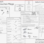 Unterrichtsmaterial Übungsblätter Für Grundschule