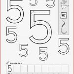 Unterrichtsmaterialien · Grundschule · Lehrerbüro