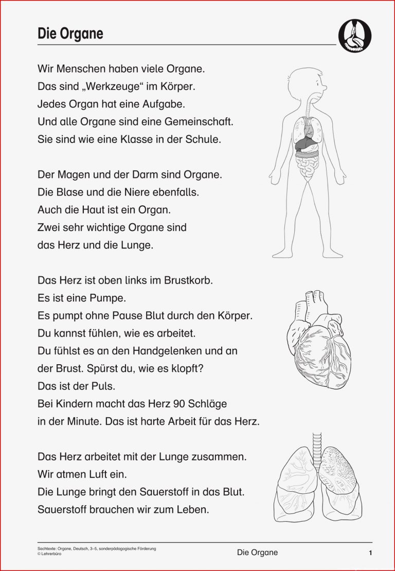 Unterrichtsmaterialien & Videoclips · sonderpädagogische