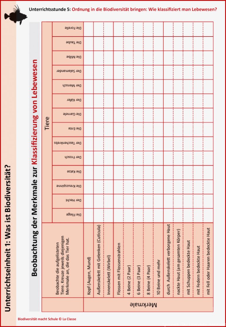 Unterrichtsstunde 4 ordnung In Biodiversität Bringen