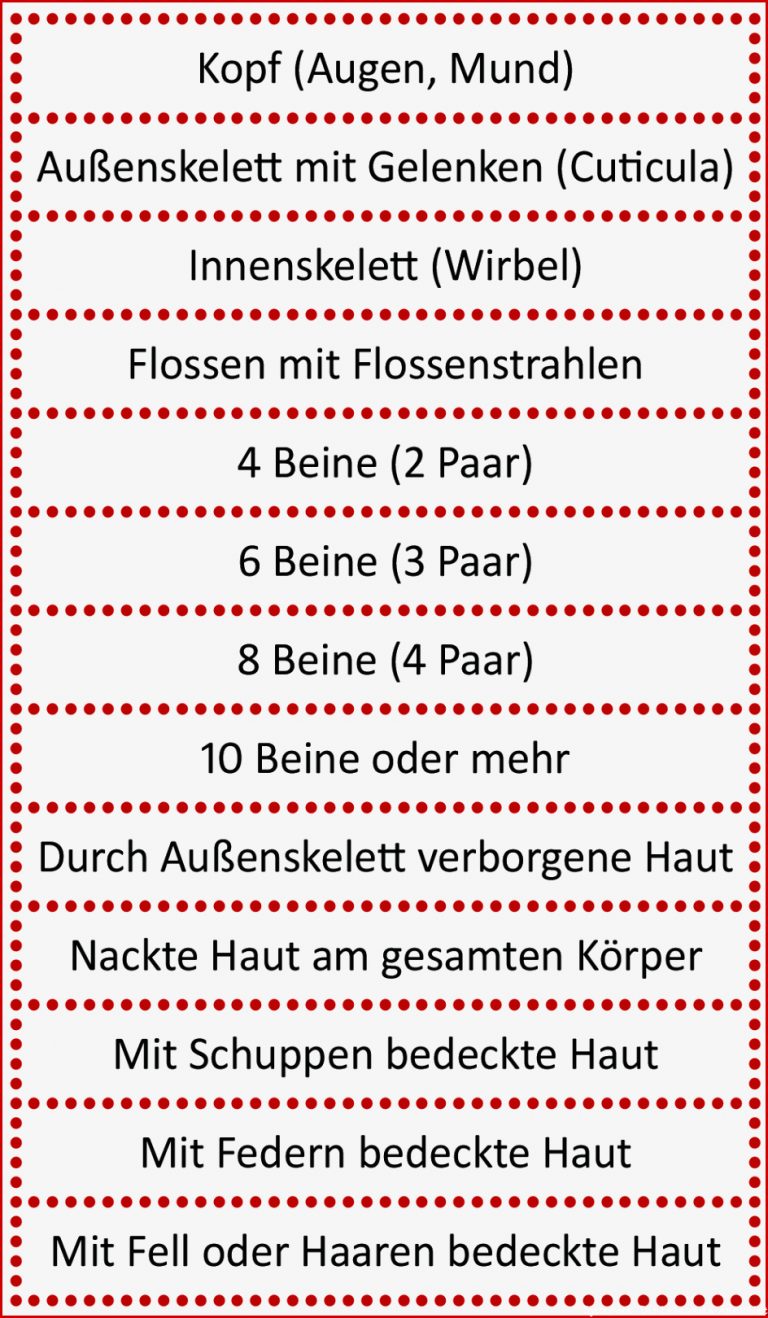 Unterrichtsstunde 5 Ordnung in Biodiversität bringen zum Herunterladen Unterrichtsstunde 5 Ordnung in Biodiversität bringen