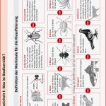 Unterrichtsstunde 5: ordnung In Die BiodiversitÃ¤t Bringen: Wie ...