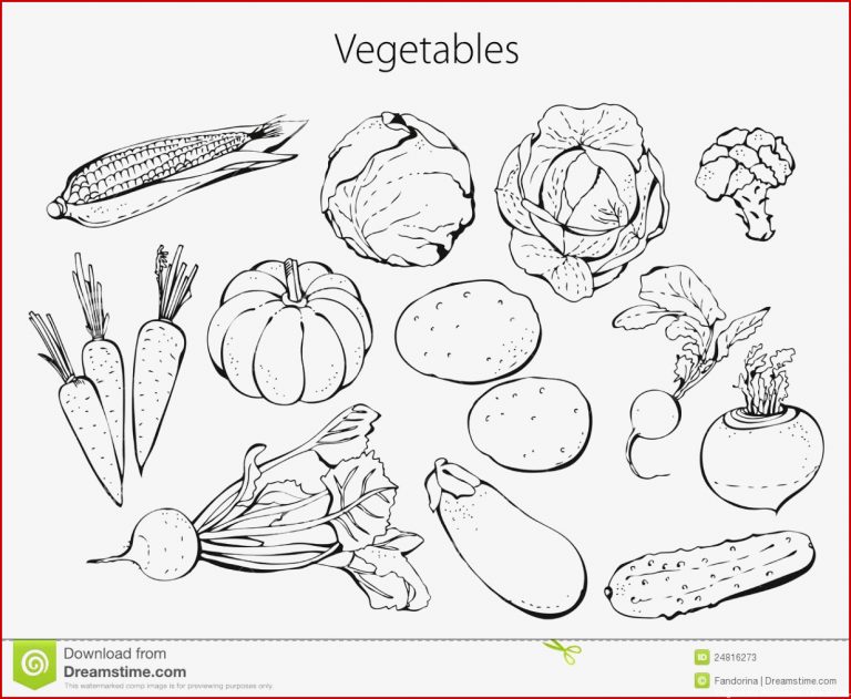 Ve ables set stock vector Illustration of health