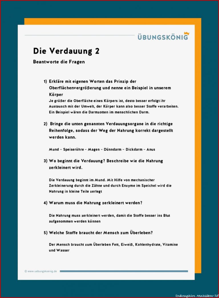 Verdauung Kostenlos Herunterladen Verdauung